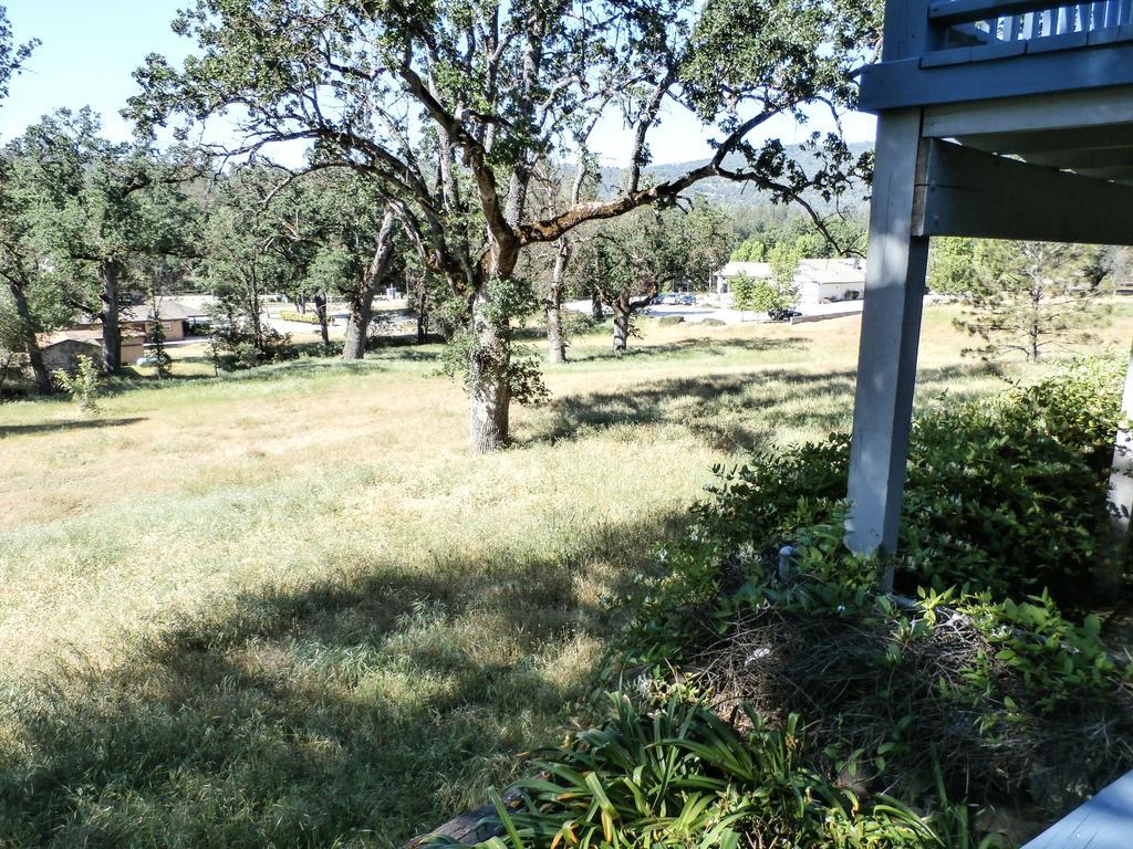 Charming Downstairs Unit Apartment Oakhurst Bagian luar foto