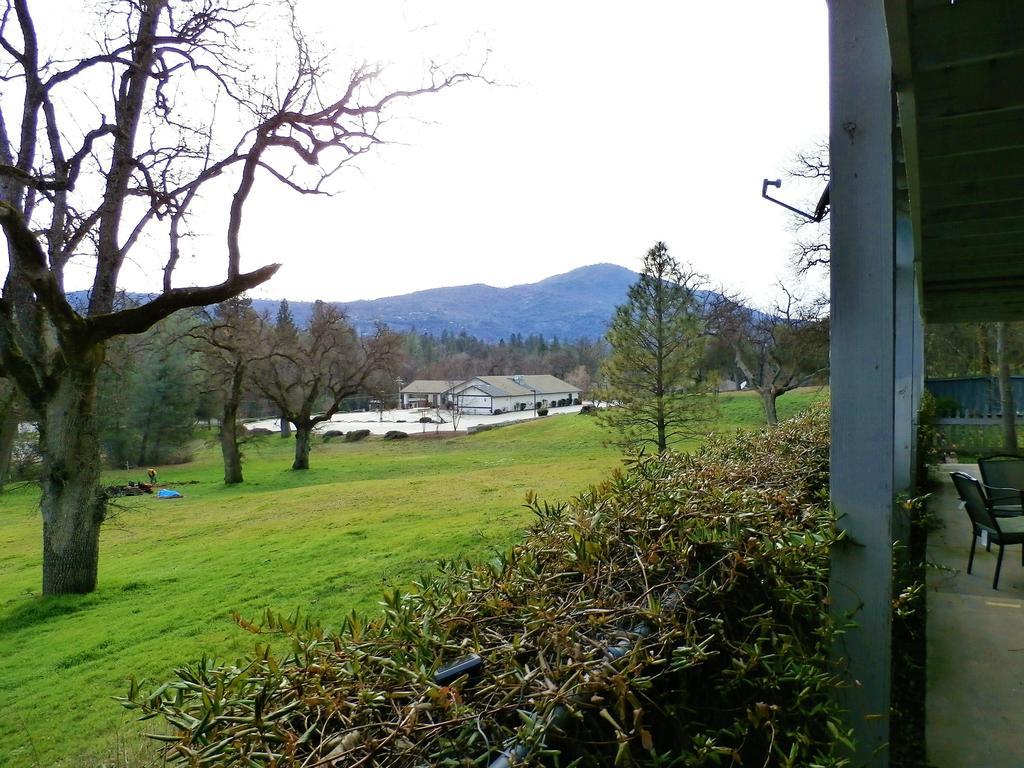 Charming Downstairs Unit Apartment Oakhurst Bagian luar foto